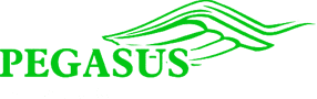Fahrschule Pegasus GmbH